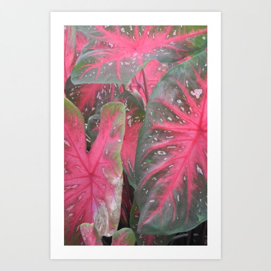 Pink Vertical Art Print