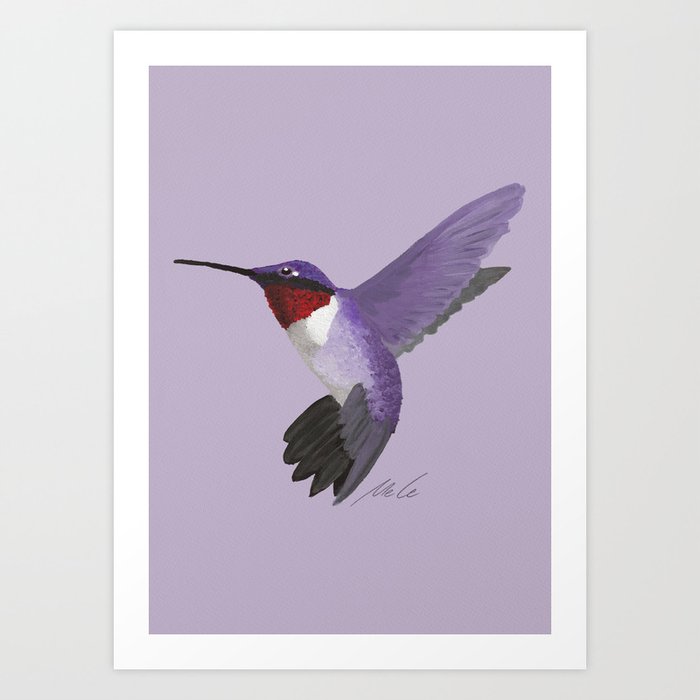 02 Violet Hummingbird Art Print