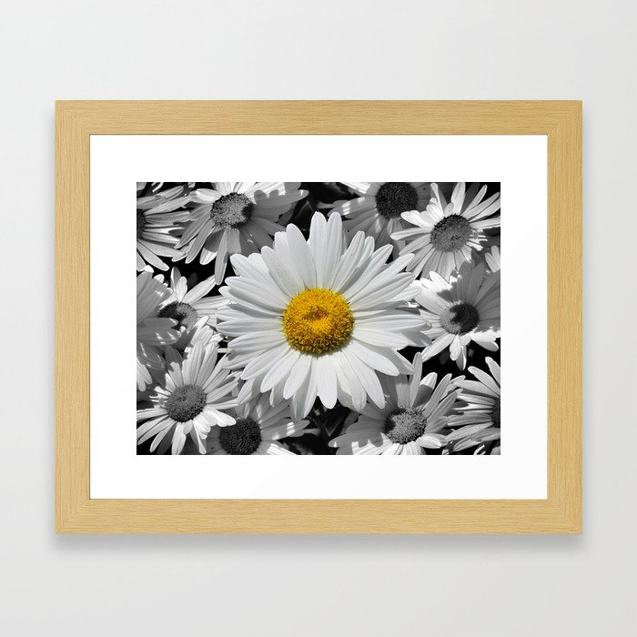 Cheerful Daisy Flower A197 Framed Art Print