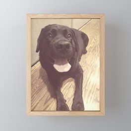 Onyx the Dog Classic Framed Mini Art Print